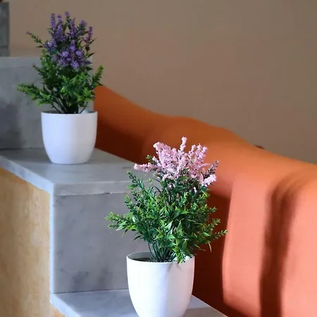 Spazio Oplonti Apartment Torre Annunziata